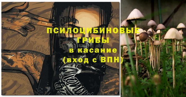 2c-b Гусиноозёрск