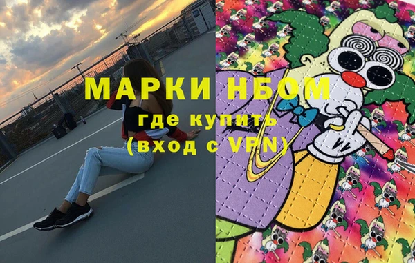гидра Гусев