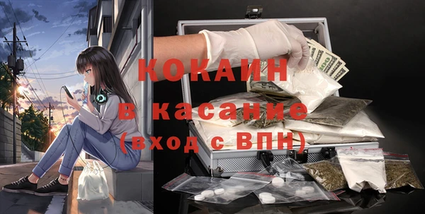 гидра Гусев