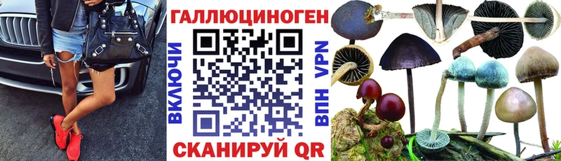 Псилоцибиновые грибы Magic Shrooms  Купить  Полесск 